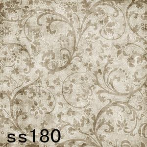 5'x8' SS180